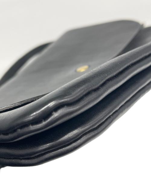 Herz（ヘルツ）Herz (ヘルツ) ミニショルダーバッグ ブラックの古着・服飾アイテム