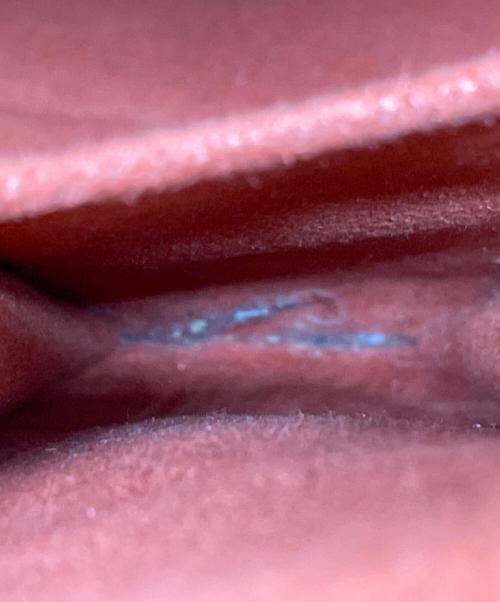 LOUIS VUITTON（ルイ ヴィトン）LOUIS VUITTON (ルイ ヴィトン) ショルダーバッグ ブラウンの古着・服飾アイテム