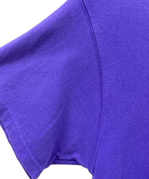 NIKE ACG（ナイキエーシージー）NIKE ACG (ナイキエーシージー) NIKE ACG　半袖Tシャツ パープル サイズ:Ｓの古着・服飾アイテム