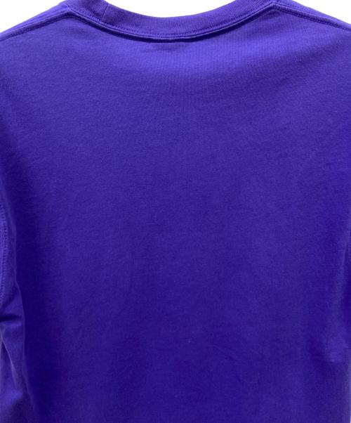 NIKE ACG（ナイキエーシージー）NIKE ACG (ナイキエーシージー) NIKE ACG　半袖Tシャツ パープル サイズ:Ｓの古着・服飾アイテム