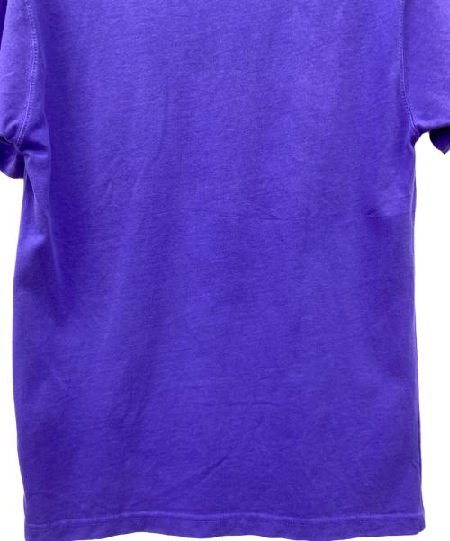 NIKE ACG（ナイキエーシージー）NIKE ACG (ナイキエーシージー) NIKE ACG　半袖Tシャツ パープル サイズ:Ｓの古着・服飾アイテム