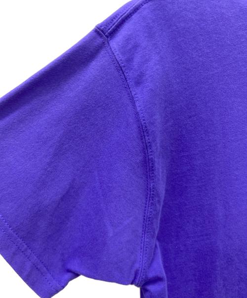 NIKE ACG（ナイキエーシージー）NIKE ACG (ナイキエーシージー) NIKE ACG　半袖Tシャツ パープル サイズ:Ｓの古着・服飾アイテム