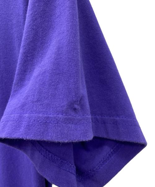 NIKE ACG（ナイキエーシージー）NIKE ACG (ナイキエーシージー) NIKE ACG　半袖Tシャツ パープル サイズ:Ｓの古着・服飾アイテム