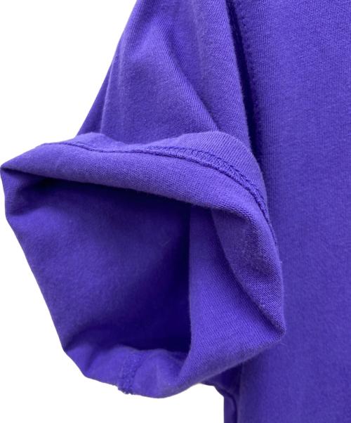 NIKE ACG（ナイキエーシージー）NIKE ACG (ナイキエーシージー) NIKE ACG　半袖Tシャツ パープル サイズ:Ｓの古着・服飾アイテム