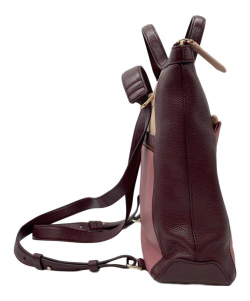 COLE HAAN（コールハーン）COLE HAAN (コールハーン) スモールコンバーチブルリュクスバックパック ボルドー×ピンクの古着・服飾アイテム