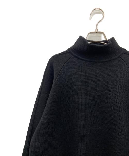 POLO RALPH LAUREN（ポロ・ラルフローレン）POLO RALPH LAUREN (ポロ・ラルフローレン) ハイネックニット ブラック×ネイビー サイズ:Mの古着・服飾アイテム