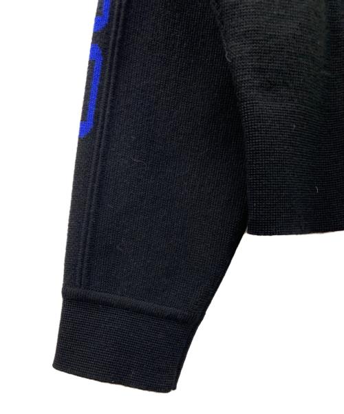 POLO RALPH LAUREN（ポロ・ラルフローレン）POLO RALPH LAUREN (ポロ・ラルフローレン) ハイネックニット ブラック×ネイビー サイズ:Mの古着・服飾アイテム