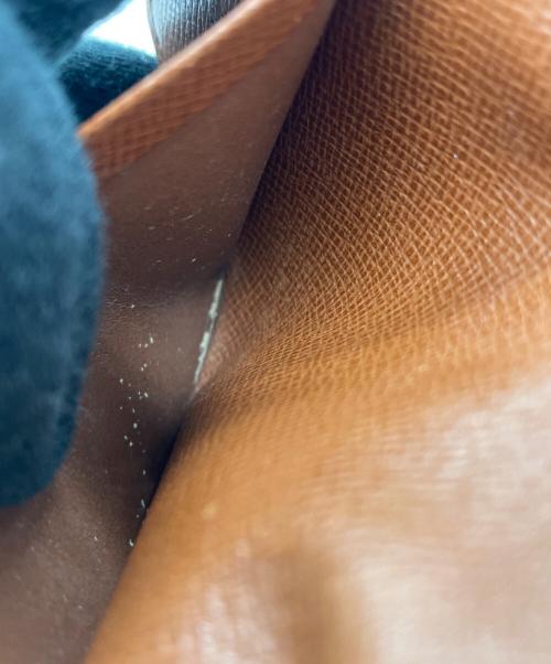 LOUIS VUITTON（ルイ ヴィトン）LOUIS VUITTON (ルイ ヴィトン) 名刺入れ ブラウンの古着・服飾アイテム