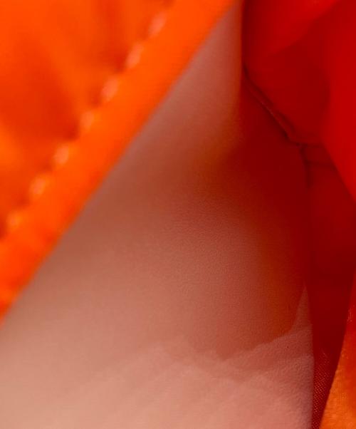 CASTELBAJAC（カステルバジャック）CASTELBAJAC (カステルバジャック) ハンドバッグ ベージュ×ネイビーの古着・服飾アイテム