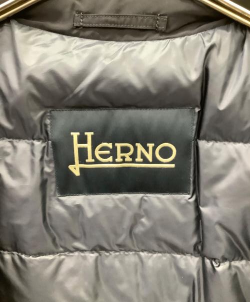 HERNO（ヘルノ）HERNO (ヘルノ) HERNO　ダウンジャケット ネイビー サイズ:46の古着・服飾アイテム