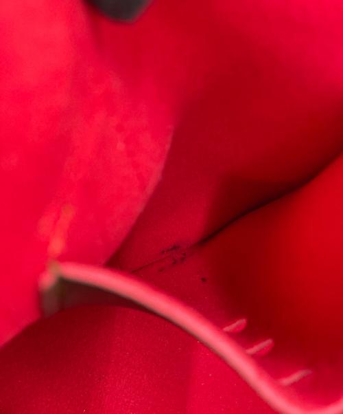 CASTELBAJAC（カステルバジャック）CASTELBAJAC (カステルバジャック) 2WAYバッグ ブラック×レッドの古着・服飾アイテム