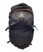 GREGORYグレゴリー）の古着「GREGORY　11T-00137909　ナノ20  リュック」｜ブラック×グレー