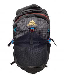 GREGORY（グレゴリー）の古着「GREGORY　11T-00137909　ナノ20  リュック」｜ブラック×グレー