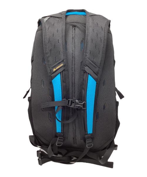 GREGORY（グレゴリー）GREGORY (グレゴリー) GREGORY　11T-00137909　ナノ20  リュック ブラック×グレーの古着・服飾アイテム