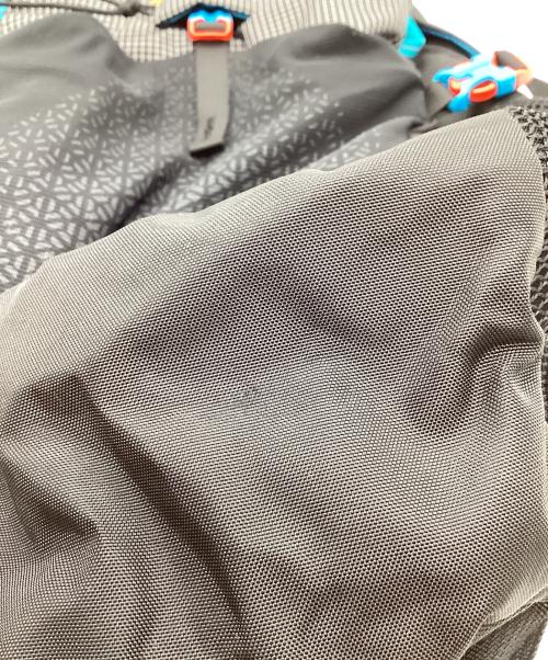 GREGORY（グレゴリー）GREGORY (グレゴリー) GREGORY　11T-00137909　ナノ20  リュック ブラック×グレーの古着・服飾アイテム