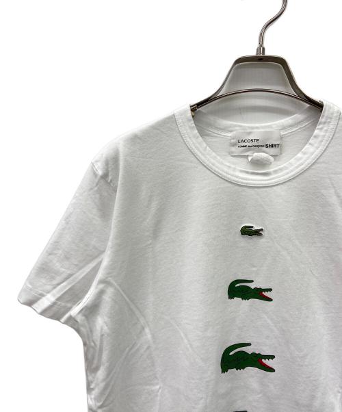 LACOSTE（ラコステ）LACOSTE (ラコステ) COMME des GARCONS SHIRT (コムデギャルソンシャツ) 半袖カットソー ホワイト サイズ:Mの古着・服飾アイテム