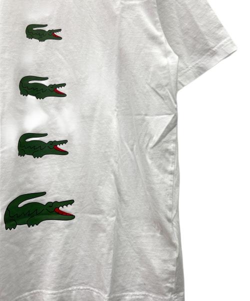 LACOSTE（ラコステ）LACOSTE (ラコステ) COMME des GARCONS SHIRT (コムデギャルソンシャツ) 半袖カットソー ホワイト サイズ:Mの古着・服飾アイテム