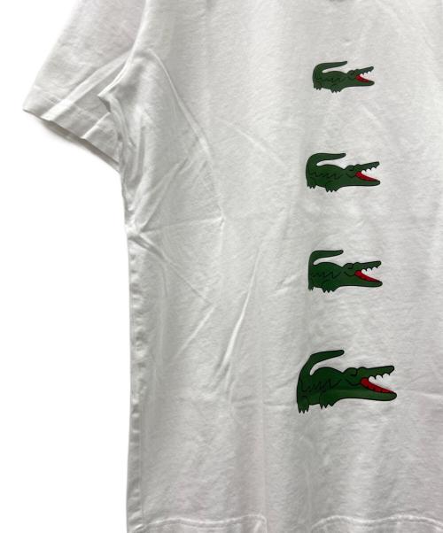 LACOSTE（ラコステ）LACOSTE (ラコステ) COMME des GARCONS SHIRT (コムデギャルソンシャツ) 半袖カットソー ホワイト サイズ:Mの古着・服飾アイテム