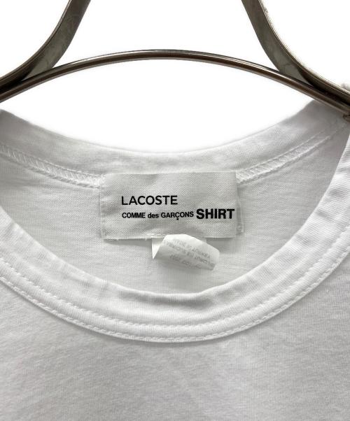 LACOSTE（ラコステ）LACOSTE (ラコステ) COMME des GARCONS SHIRT (コムデギャルソンシャツ) 半袖カットソー ホワイト サイズ:Mの古着・服飾アイテム