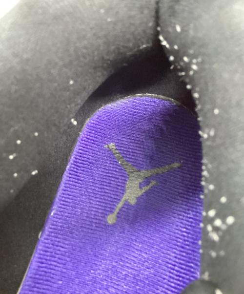 NIKE（ナイキ）NIKE (ナイキ) Jordan Courtside 23 ホワイト×ブラック サイズ:27cmの古着・服飾アイテム