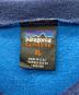 Patagonia SYNCHILLA (パタゴニア シンチラ) キャプリーンVネックカットソー ブルー×ネイビー サイズ:XL：7000円