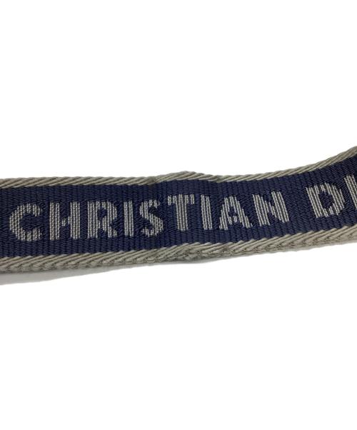 Christian Dior（クリスチャン ディオール）Christian Dior (クリスチャン ディオール) Christian Dior　SCARAB　ウエストバッグ スカイブルーの古着・服飾アイテム