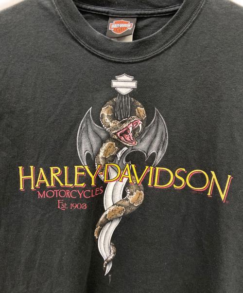 HARLEY-DAVIDSON（ハーレーダビッドソン）HARLEY-DAVIDSON (ハーレーダビッドソン) HARLEY-DAVIDSON　半袖カットソー ブラック サイズ:Mの古着・服飾アイテム