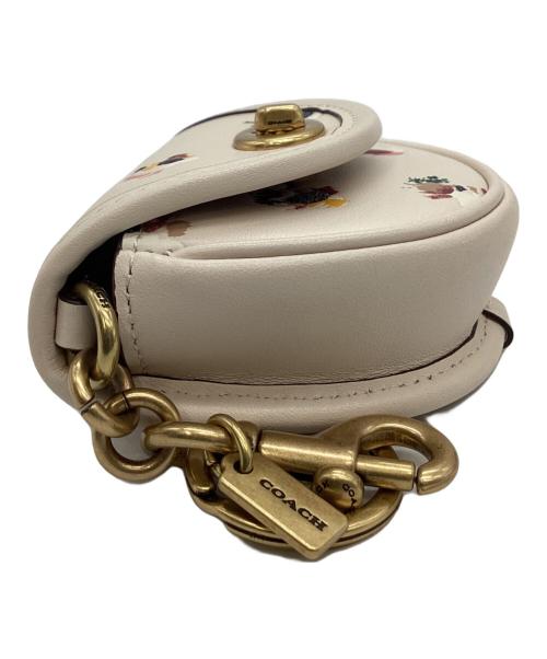 COACH（コーチ）COACH (コーチ) COACH　ストラップ ウィズ チェーン ストライプ ブラウン×グリーンの古着・服飾アイテム