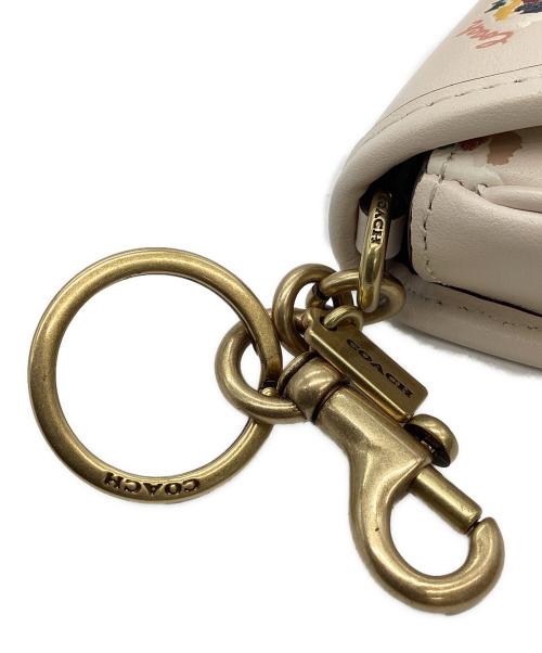 COACH（コーチ）COACH (コーチ) COACH　ストラップ ウィズ チェーン ストライプ ブラウン×グリーンの古着・服飾アイテム