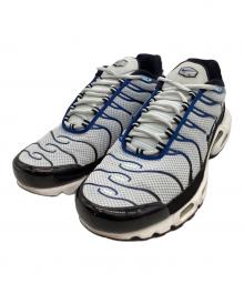 NIKE（ナイキ）の古着「NIKE　ローカットスニーカー」｜グレー×ブルー