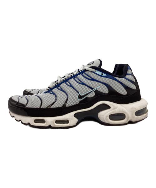 NIKE（ナイキ）NIKE (ナイキ) NIKE　ローカットスニーカー グレー×ブルー サイズ:28㎝の古着・服飾アイテム