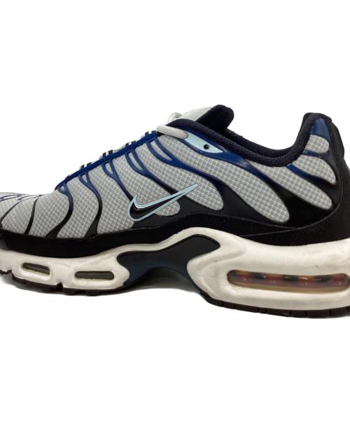 NIKE（ナイキ）NIKE (ナイキ) NIKE　ローカットスニーカー グレー×ブルー サイズ:28㎝の古着・服飾アイテム