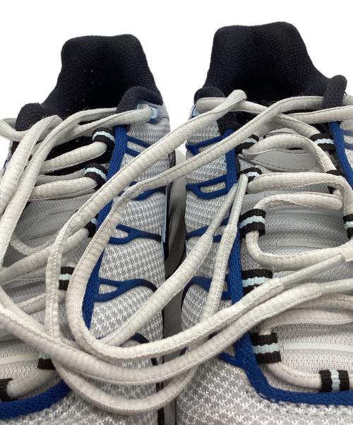 NIKE（ナイキ）NIKE (ナイキ) NIKE　ローカットスニーカー グレー×ブルー サイズ:28㎝の古着・服飾アイテム