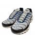 NIKE（ナイキ）の古着「NIKE　ローカットスニーカー」｜グレー×ブルー