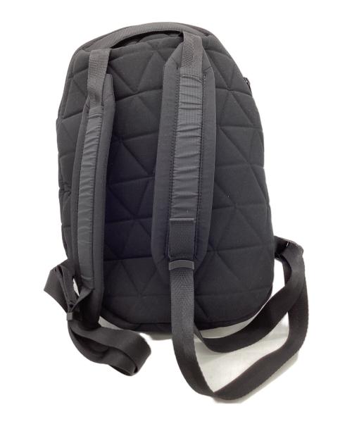 THE NORTH FACE（ザ ノース フェイス）THE NORTH FACE (ザ ノース フェイス) THE NORTH FACE　Geoface MIni Pack　リュック ブラックの古着・服飾アイテム