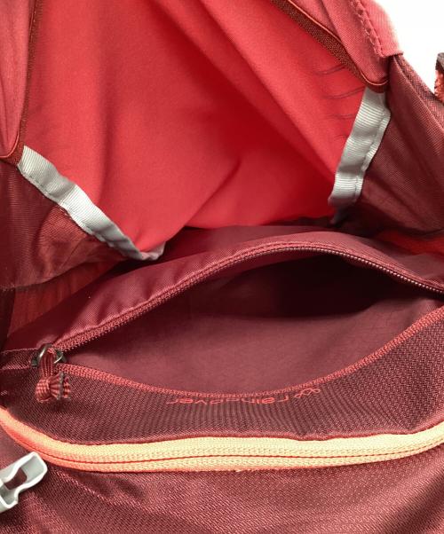 GREGORY（グレゴリー）GREGORY (グレゴリー) リュック レッドの古着・服飾アイテム
