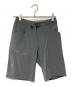 ARC'TERYX（アークテリクス）の古着「LEFROY SHORT」｜グレー