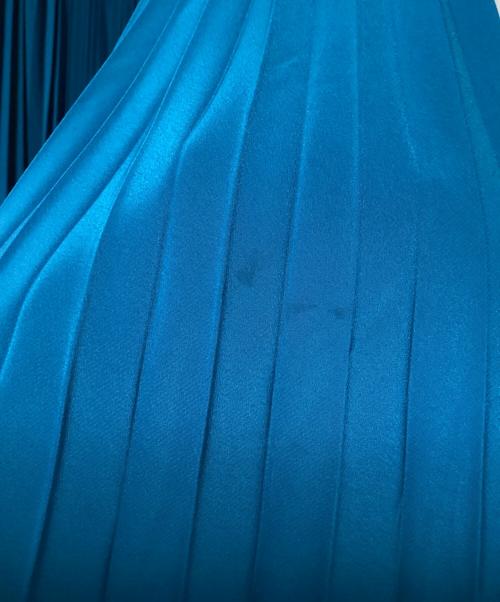 theory luxe（セオリーリュクス）theory luxe (セオリーリュクス) プリーツスカート ブルー サイズ:SIZE 38の古着・服飾アイテム