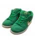 NIKE SB（ナイキエスビー）の古着「DUNK LOW PRO」｜グリーン×ゴールド