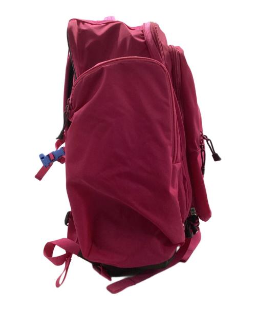 THE NORTH FACE（ザ ノース フェイス）THE NORTH FACE (ザ ノース フェイス) リュック ピンク×グレーの古着・服飾アイテム