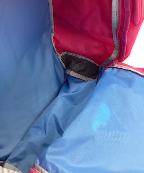 THE NORTH FACE（ザ ノース フェイス）THE NORTH FACE (ザ ノース フェイス) リュック ピンク×グレーの古着・服飾アイテム