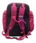 THE NORTH FACE (ザ ノース フェイス) リュック ピンク×グレー：10000円