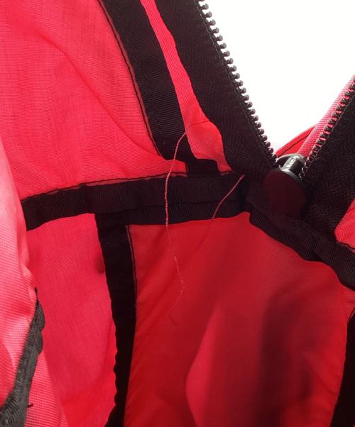 GREGORY（グレゴリー）GREGORY (グレゴリー) 30周年記念モデルバックパック ピンク×ブラックの古着・服飾アイテム