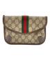 GUCCI（グッチ）の古着「 GGプラス シェリー ポーチ」