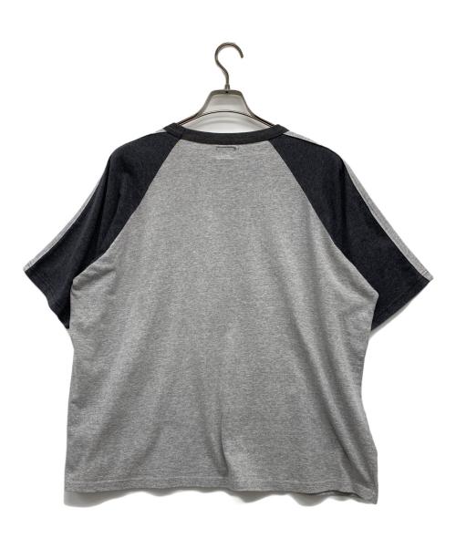 stussy（ステューシー）stussy (ステューシー) ラグランカットソー グレー サイズ:XLの古着・服飾アイテム