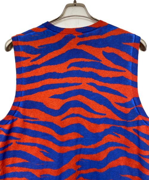 stussy（ステューシー）stussy (ステューシー) ニットベスト オレンジ×ブルー サイズ:Lの古着・服飾アイテム