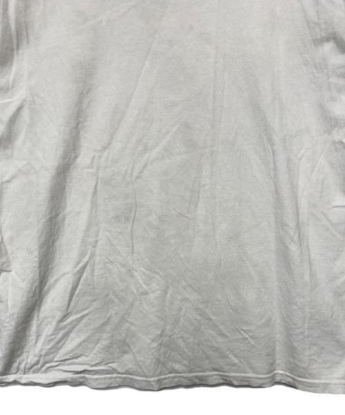 stussy（ステューシー）stussy (ステューシー) 半袖カットソー ホワイト サイズ:Lの古着・服飾アイテム