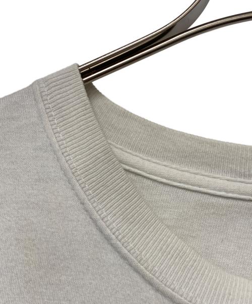 stussy（ステューシー）stussy (ステューシー) 半袖カットソー ホワイト サイズ:Lの古着・服飾アイテム