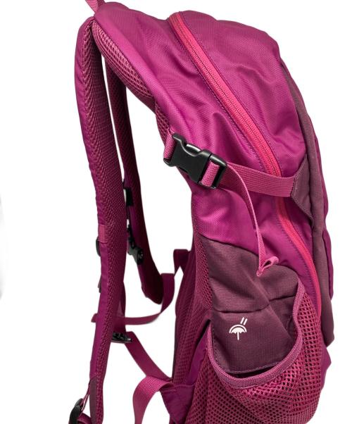 THE NORTH FACE（ザ ノース フェイス）THE NORTH FACE (ザ ノース フェイス) リュック ショッキングピンクの古着・服飾アイテム