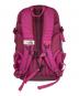 THE NORTH FACE (ザ ノース フェイス) リュック ショッキングピンク：6000円